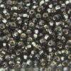 Silver Lined Transparent Black