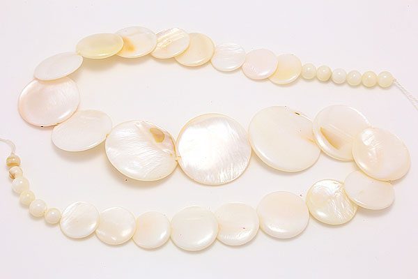 White Natural Shell