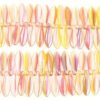 Lustre Golden Peach Daggers