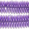Purple Daggers