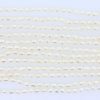 White Rice Pearl