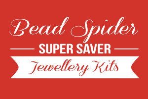 Super Saver DVD Kits