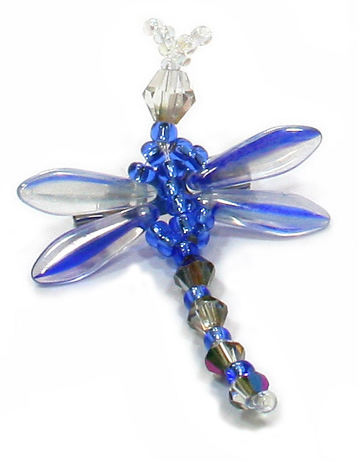 blue-dragonfly blue-dragonfly
