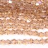 Beige Champagne AB Crystal Bicones