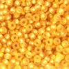 Frosted Silver Lined Gold Preciosa Seed Beads