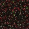 Transparent Red Green Hurricane Preciosa Seed Beads