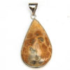 Fossilised Coral Tear Drop Pendant