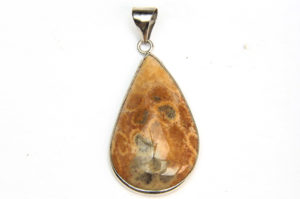 Fossilised Coral Tear Drop Pendant