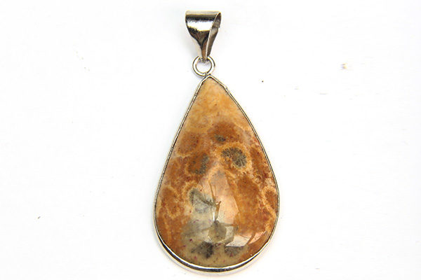 Fossilised Coral Tear Drop Pendant