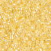 Lined Pale Yellow AB Delica Beads