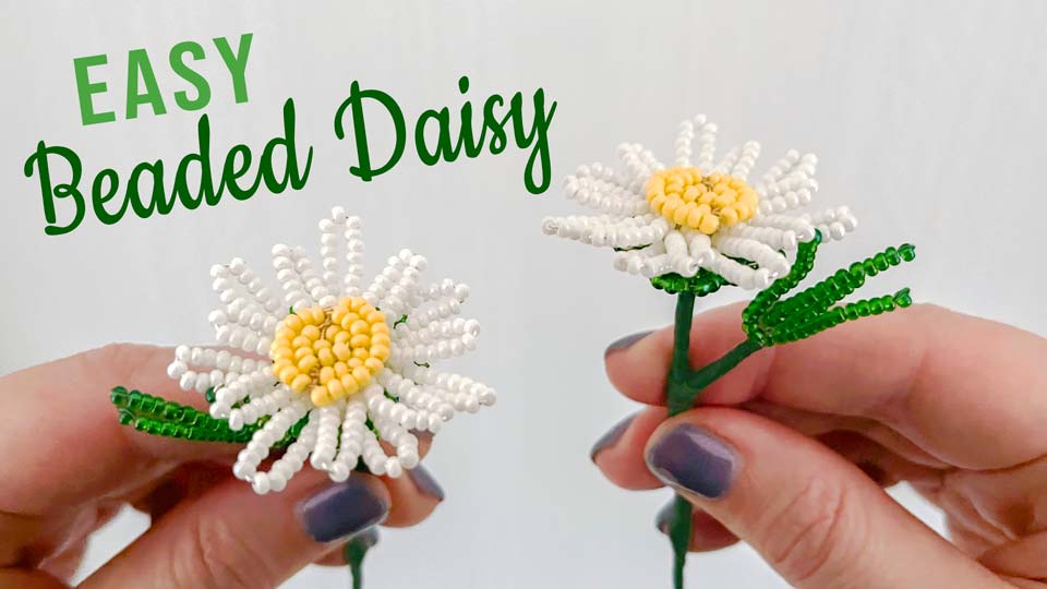 white-daisy-WEB