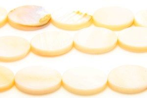 White Natural Shell 