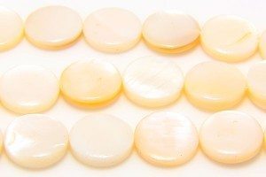 White Natural Shell 