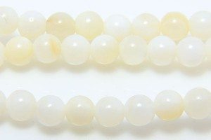 White Natural Shell 