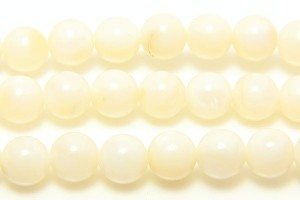 White Natural Shell 