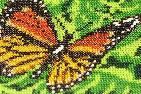 Arazzo-Butterfly-real Arazzo-Butterfly-real